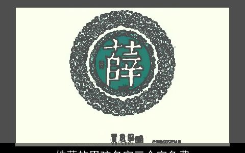 姓薛的男孩名字三个字免费