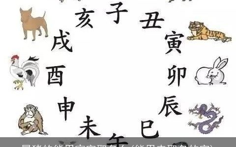 属猪的能用宸字取名么(能用来取名的字)