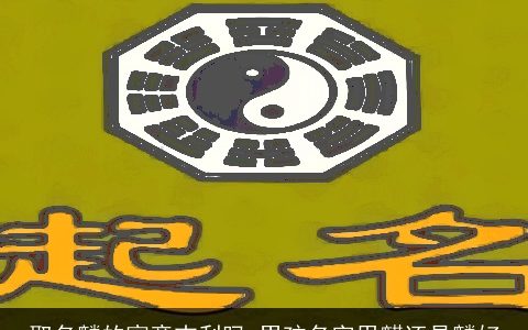 取名麟的寓意吉利吗 男孩名字用麒还是麟好