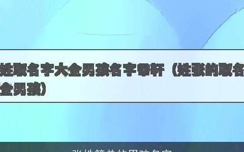 张姓简单的男孩名字