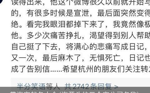 带海字起名大全(海开头的三个字公司名称)