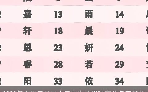 2023年农历三月二十三出生的男孩高分名字赏析