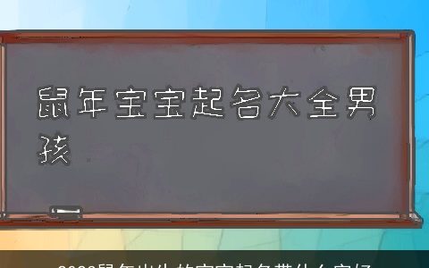 2024鼠年出生的宝宝起名带什么字好