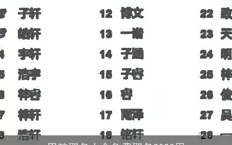 男孩取名大全免费取名2024周