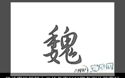 魏姓男孩朗朗上口的名字2023取名测分魏蓝锐