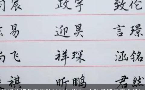 姓杨的好名字男孩2024年出生 小孩子取名字姓杨的