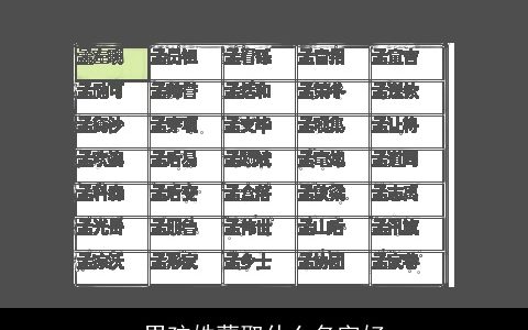 男孩姓蒙取什么名字好