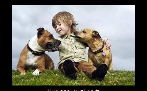 戴姓2021男孩取名