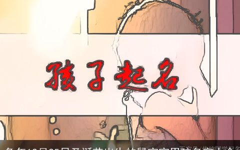 兔年12月25日圣诞节出生的鼠宝宝男孩名字大全