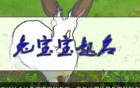 五行缺金的兔宝宝男孩名字  霸气外漏的属兔男孩起名