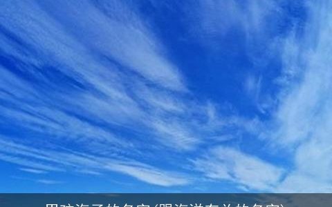 男孩海子的名字(跟海洋有关的名字)