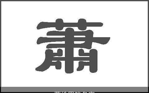 萧姓男孩名字