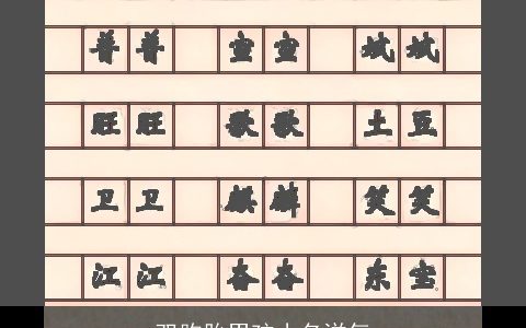 双胞胎男孩小名洋气