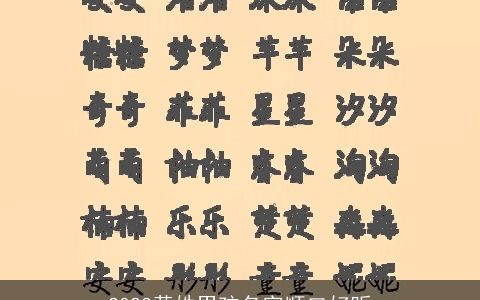 2023黄姓男孩名字顺口好听