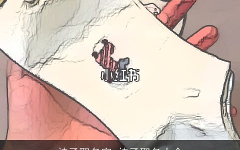 袜子取名字 袜子取名大全