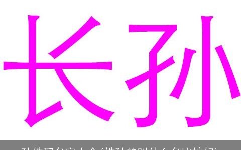 孙姓取名字大全(姓孙的叫什么名比较好)