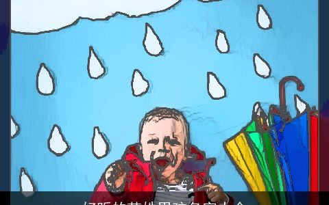 好听的范姓男孩名字大全