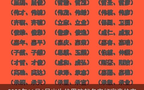 2023年11月6日出生的男孩起名字好寓意的字