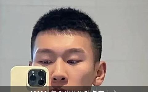 2023帅气阳光的男孩名字大全