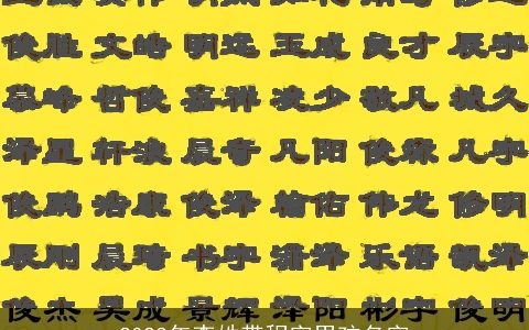 2023年李姓带程字男孩名字