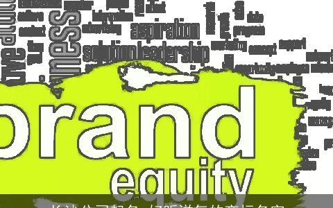 长沙公司起名 好听洋气的商标名字