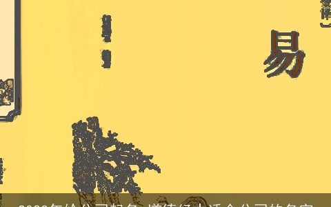 2024年给公司起名 道德经中适合公司的名字