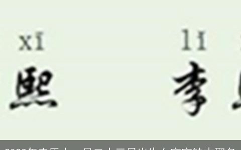 2024年农历十一月二十三日出生女宝宝缺木取名