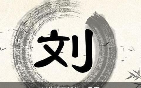 属龙姓氏取什么名字