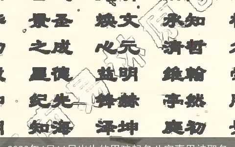 2023年4月16日出生的男孩起名八字喜用神取名