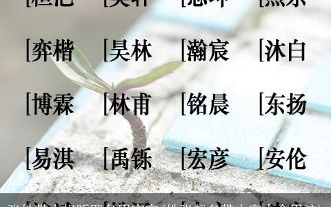 张姓带木好听取名男宝宝(姓张起名带木字大全男孩)