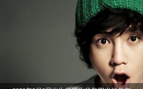 2023年2月3日出生的男生帅气阳光的名字