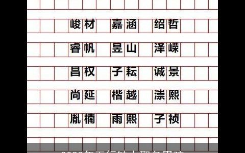 2024年五行缺水取名男孩