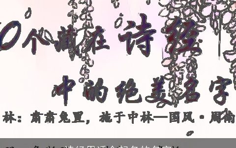 诗经里适合起名的名字