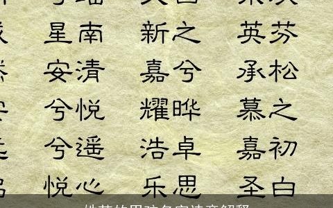 姓苏的男孩名字诗意解释