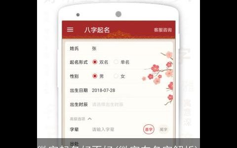 微字起名好不好(微字在名字解析)