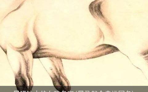 属龙缺木的女孩名字(属龙起个幸运网名)