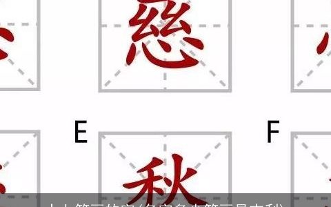 十七笔画的字(名字多少笔画最吉利)