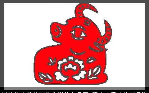 属龙的人开公司适合用什么名字 简单大气的公司名称