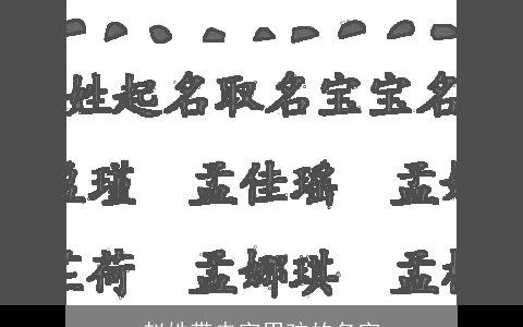 赵姓带冉字男孩的名字