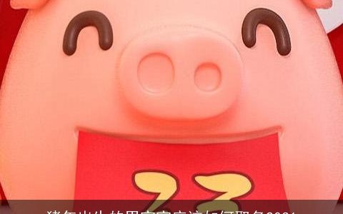 猪年出生的男宝宝应该如何取名2031