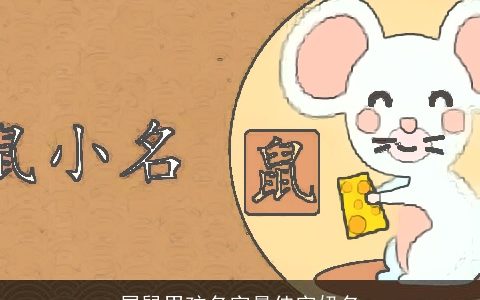 属鼠男孩名字最佳字奶名