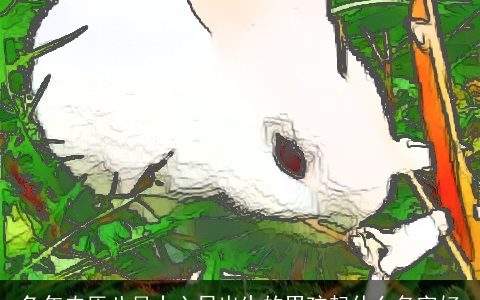 兔年农历八月十六日出生的男孩起什么名字好