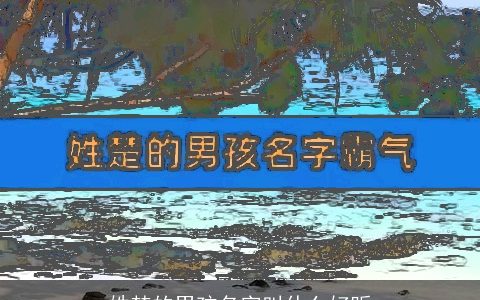 姓楚的男孩名字叫什么好听