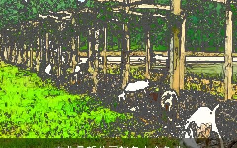 农业最新公司起名大全免费