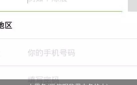 人用名(微信昵称用本名的人)