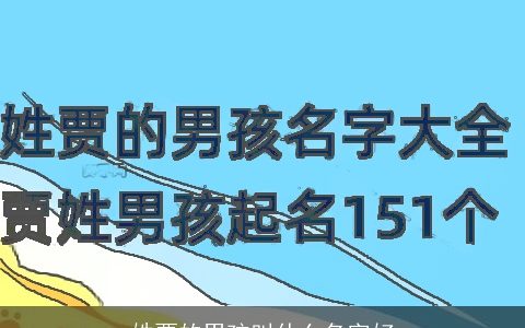 姓贾的男孩叫什么名字好