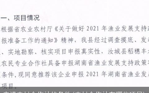 申请农村合作社的条件(农村合作社有哪些项目)