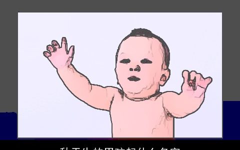 秋天生的男孩起什么名字