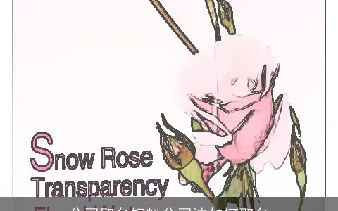 公司取名饲料公司该如何取名