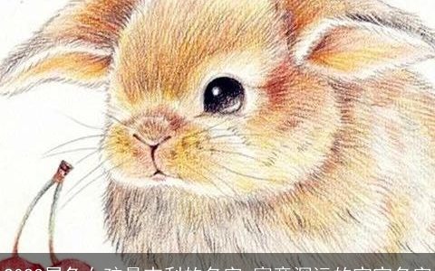 2023属兔女孩最吉利的名字 寓意深远的宝宝名字